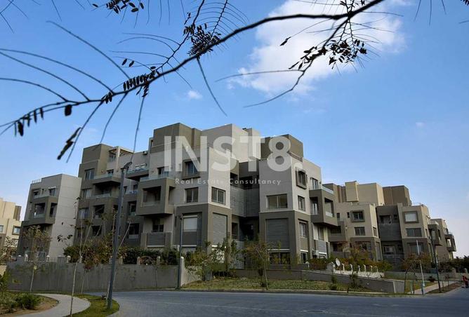 8467623 - Property Image 2