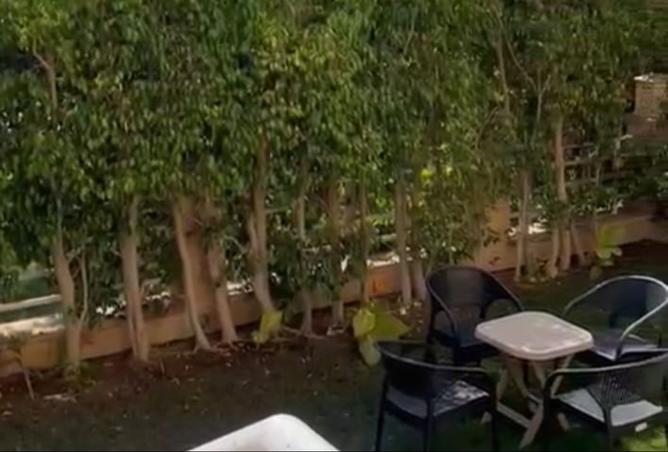 8084954 - الصورة الرئيسية للعقار