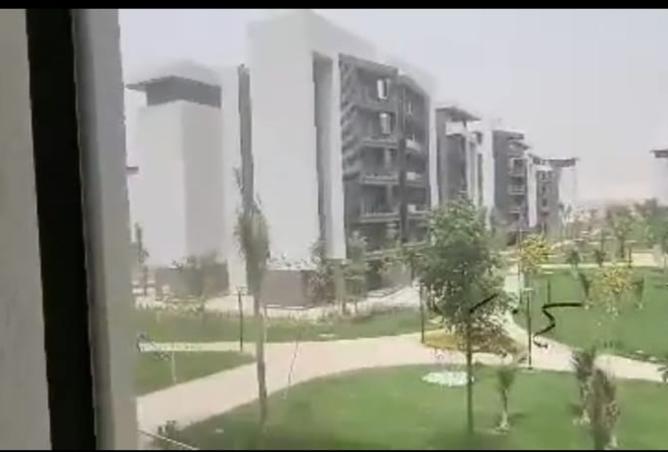 8059162 - صورة العقار 3