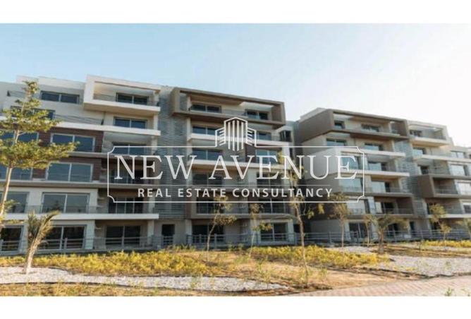 8098029 - Property Image 3