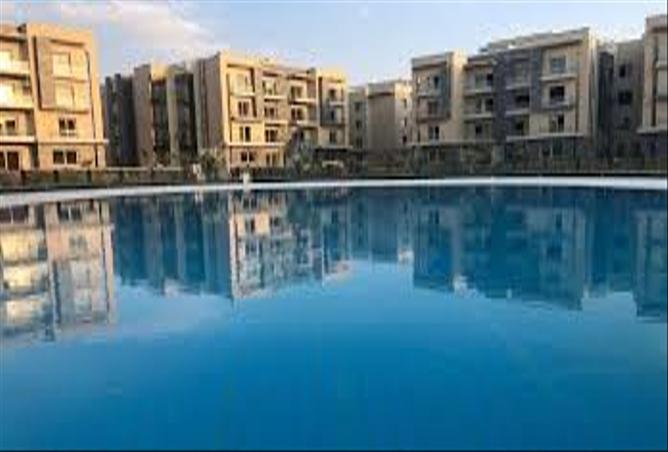 7969247 - صورة العقار 2
