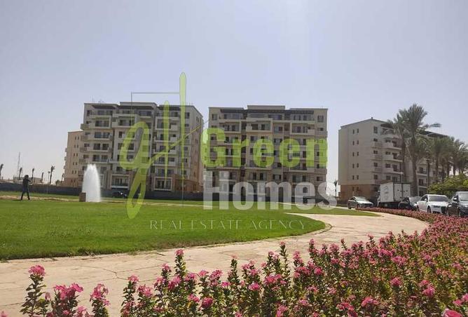 7990933 - Property Image 3