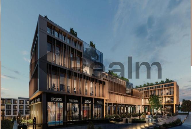 8248124 - Property Image 3