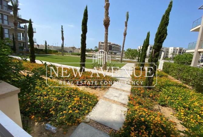 8185979 - Property Image 3