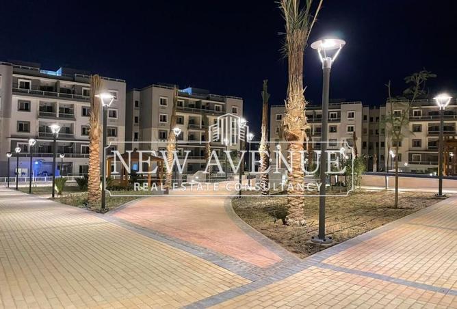 8338958 - Property Image 3