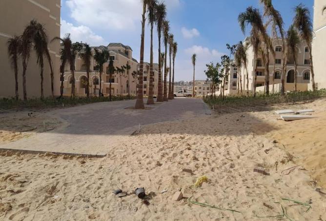 8128873 - Property Image 3