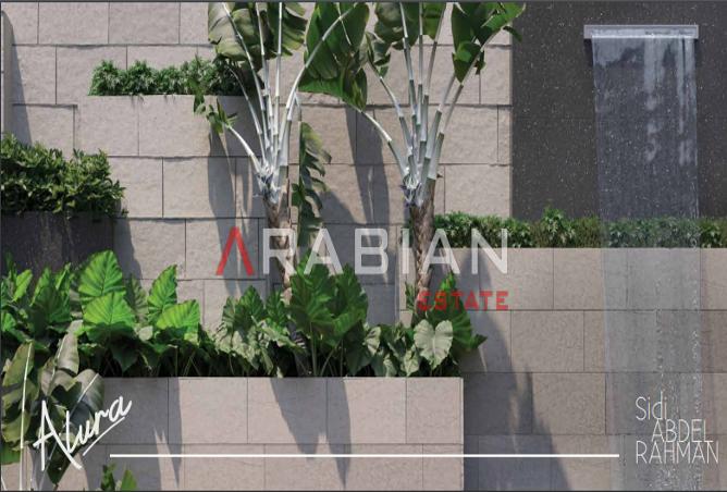 7974255 - صورة العقار 3