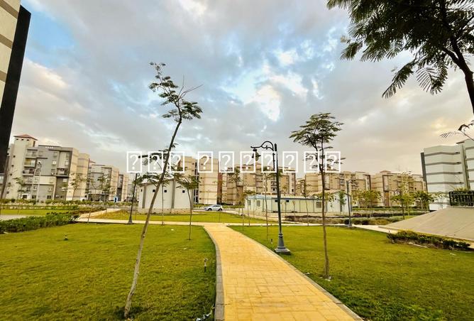 8171821 - Property Image 3