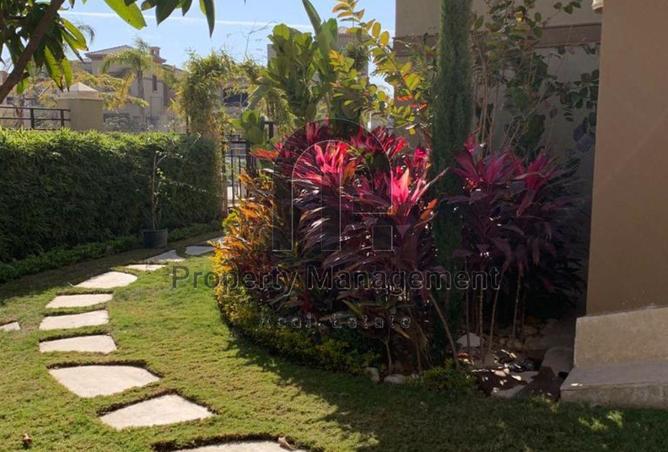 8494091 - صورة العقار 3