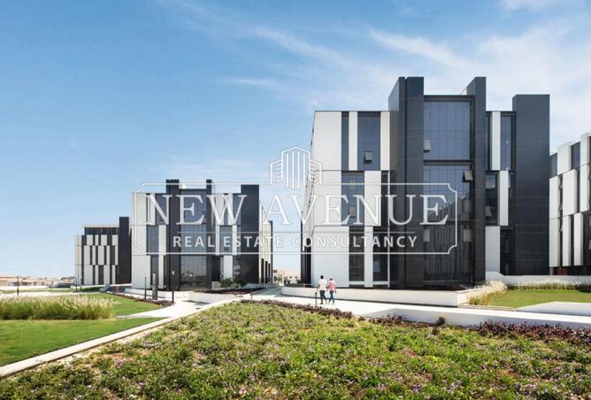 8149904 - Property Image 3