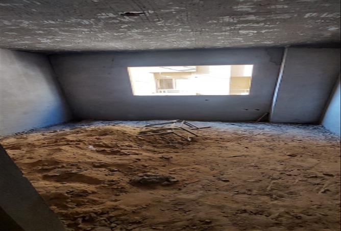 8030115 - Property Image 3