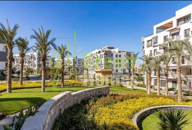 8247006 - صورة العقار 3