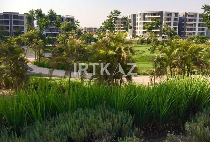 8331374 - Property Image 2