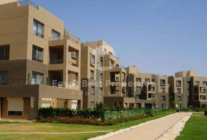 8396720 - Property Image 3