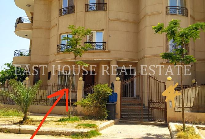 8151939 - Property Image 3