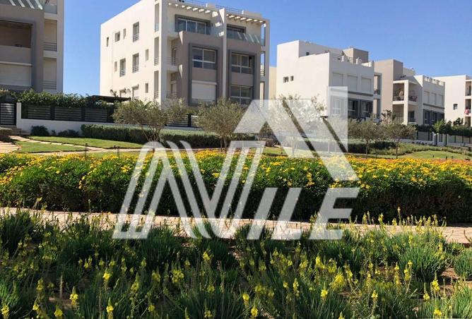 7965417 - الصورة الرئيسية للعقار