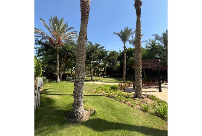 8166454 - الصورة الرئيسية للعقار