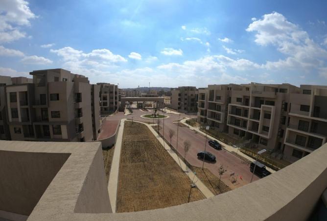 8252110 - Property Image 3