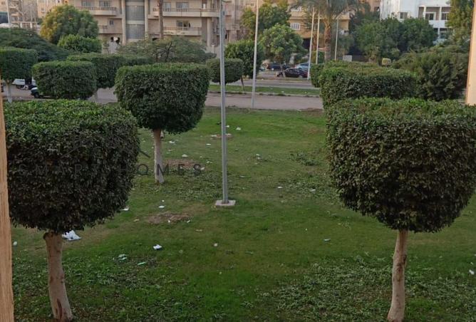 8433574 - صورة العقار 2