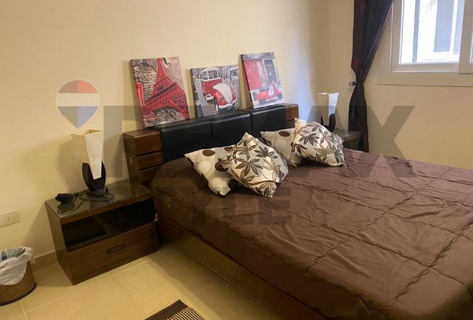 7497871 - Property Image 2