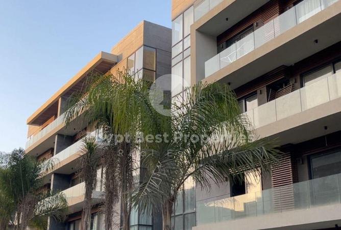 8475070 - Property Image 3