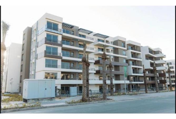 8242623 - صورة العقار 3