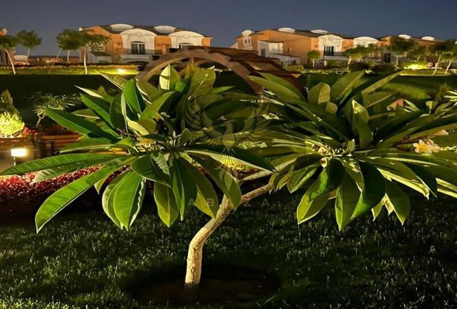 8151468 - صورة العقار 3