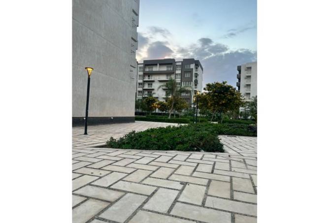 8383515 - صورة العقار 3