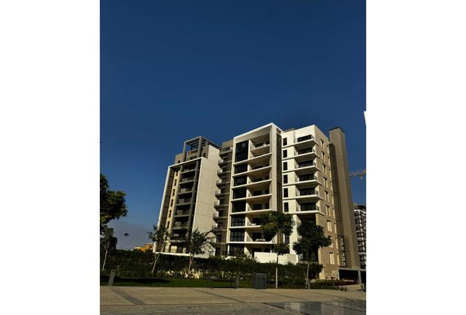 8239976 - Property Image 3