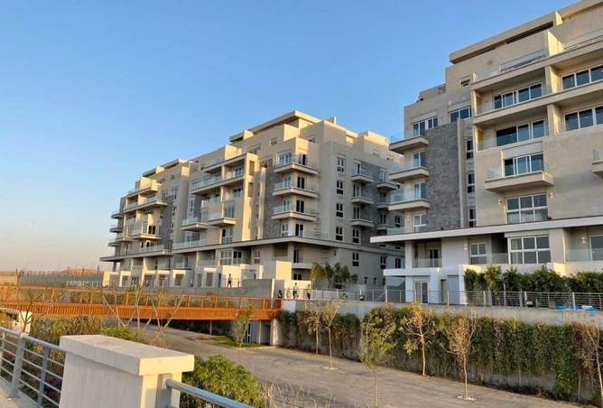 8108768 - Property Image 2