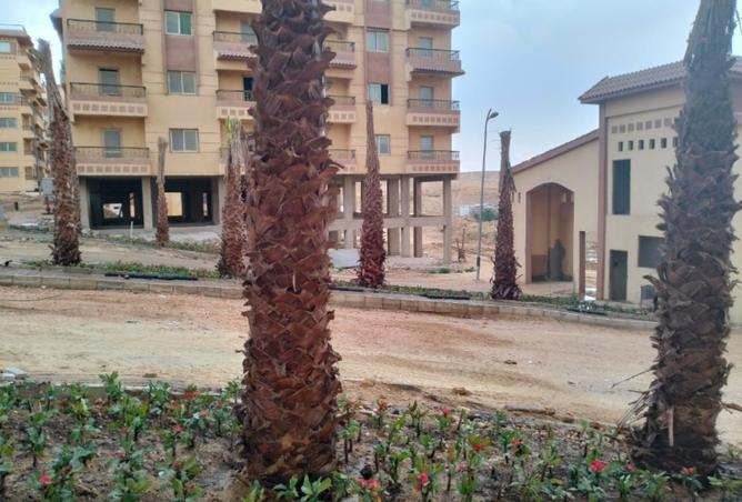 8119475 - Property Image 3