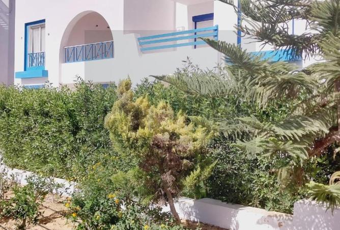 7939409 - صورة العقار 3