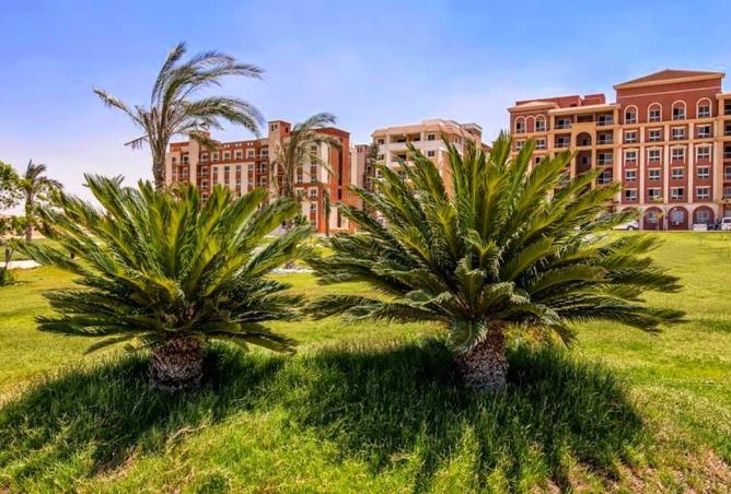 8395729 - Property Image 3