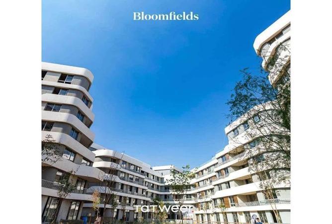 8459758 - صورة العقار 2