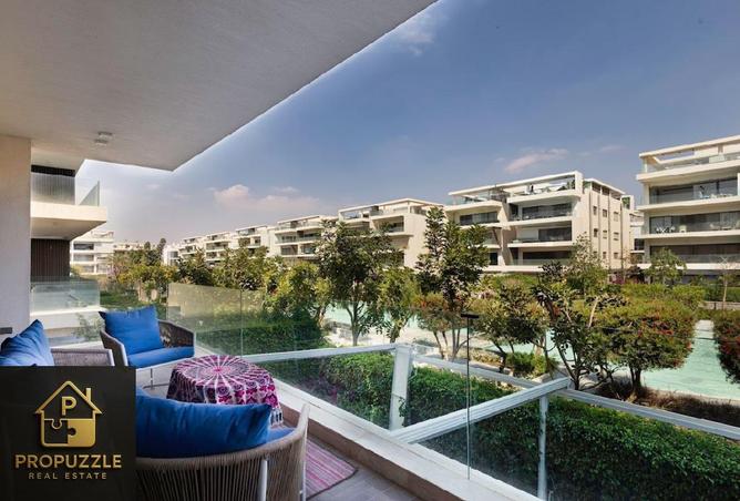 8243281 - Property Image 3