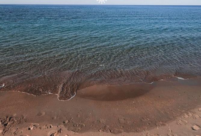 8011556 - صورة العقار 3