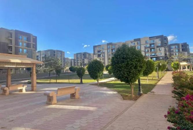 8383776 - Property Image 3