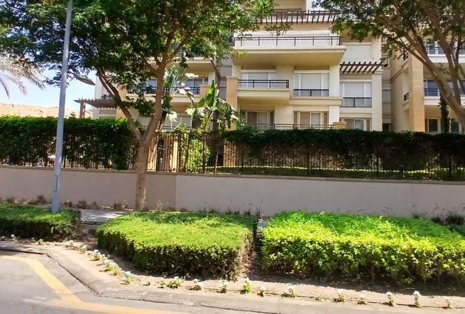 8535529 - Property Image 3