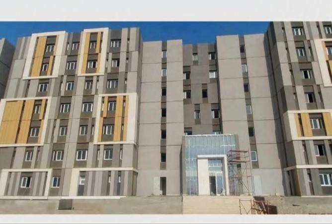 7983492 - Property Image 3