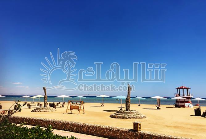 8295867 - Property Image 2