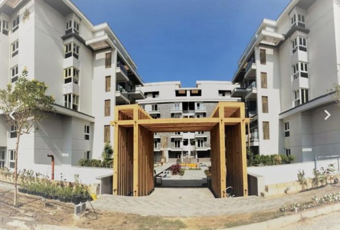 8205870 - Property Image 3