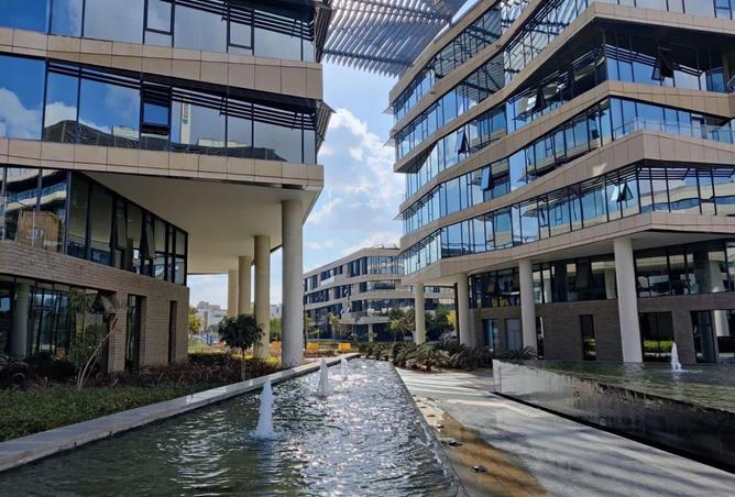 8322499 - Property Image 3