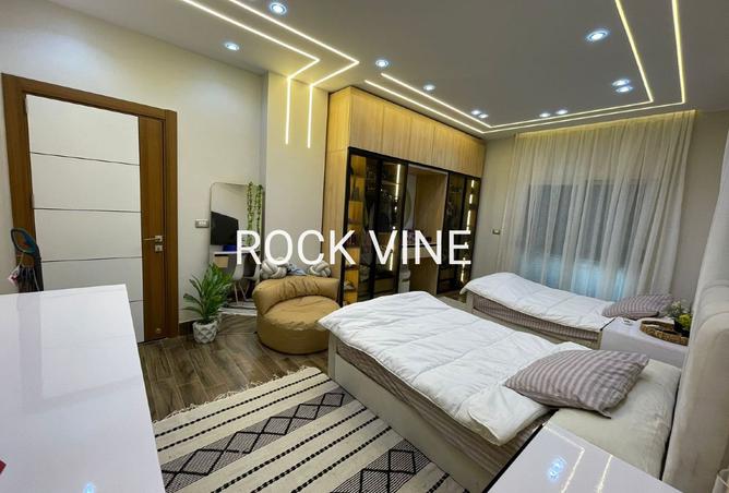 8368874 - Property Image 2