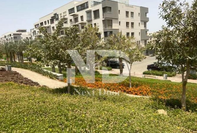 8536584 - الصورة الرئيسية للعقار