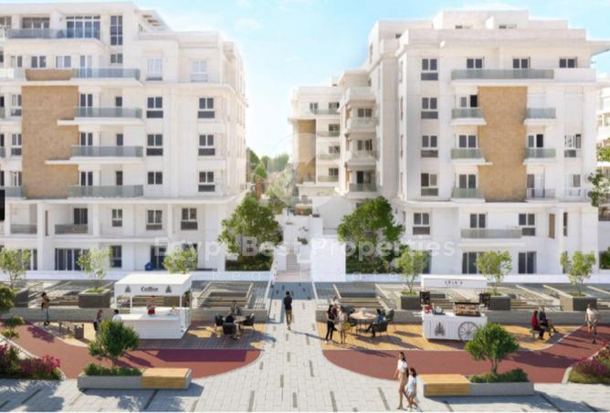 8069853 - Property Image 3