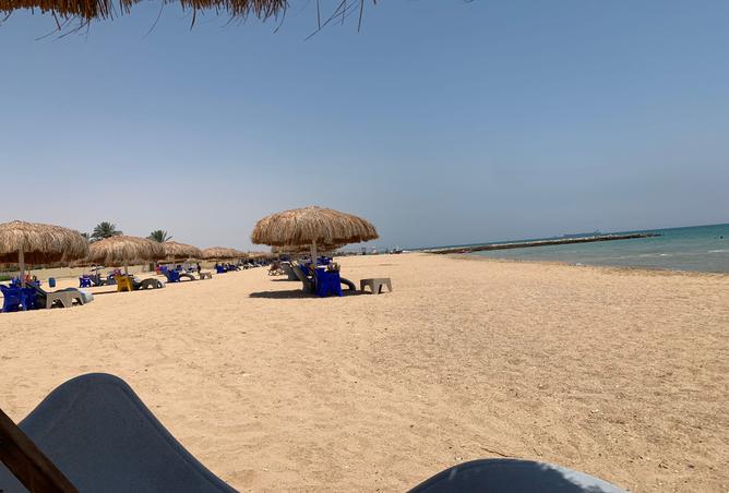 7991225 - الصورة الرئيسية للعقار