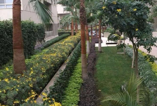 8301731 - صورة العقار 3