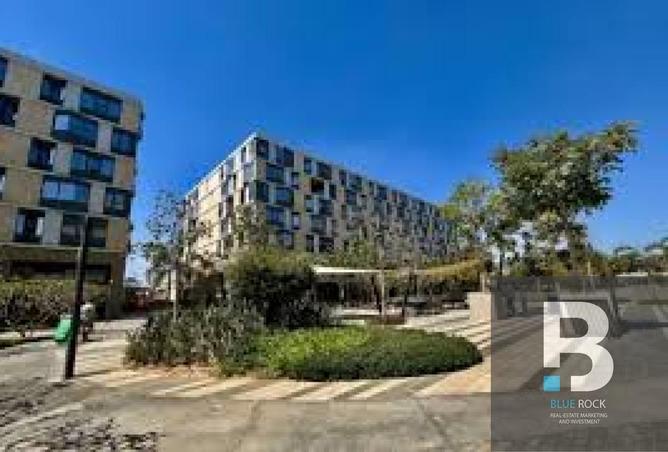 8017742 - Property Image 3