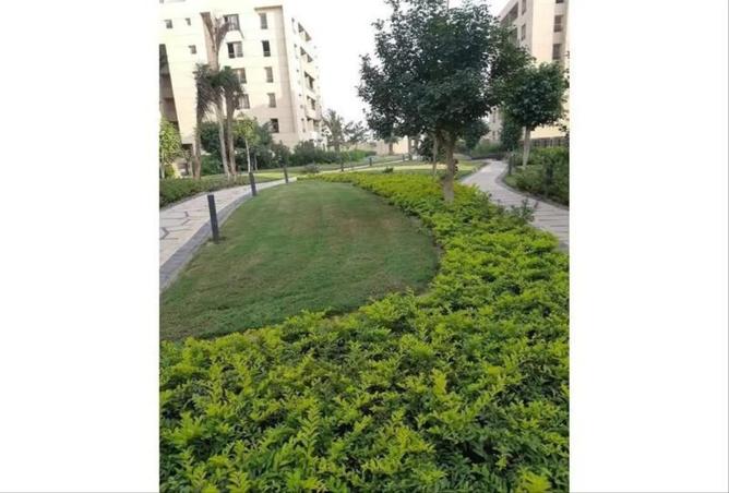 8483343 - صورة العقار 2