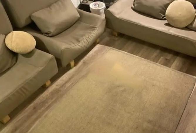 8218951 - Property Image 3